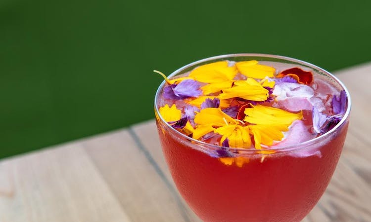 summery floral cocktail