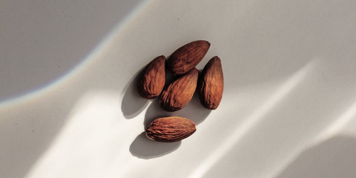 almonds in shadowed lighting