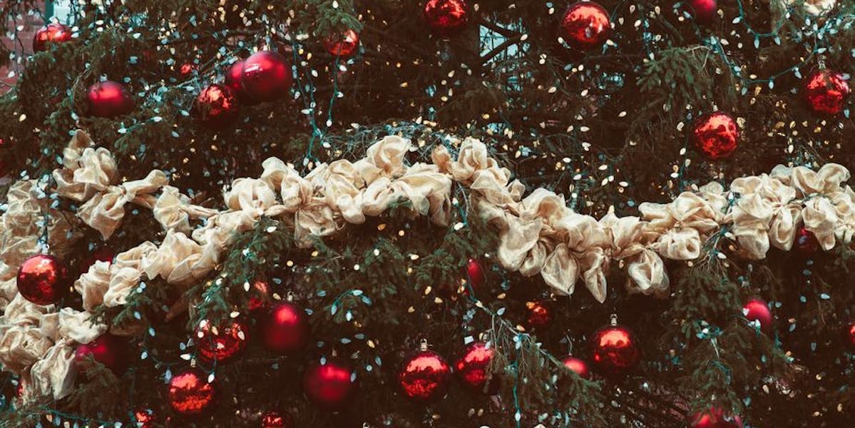christmas tree close-up