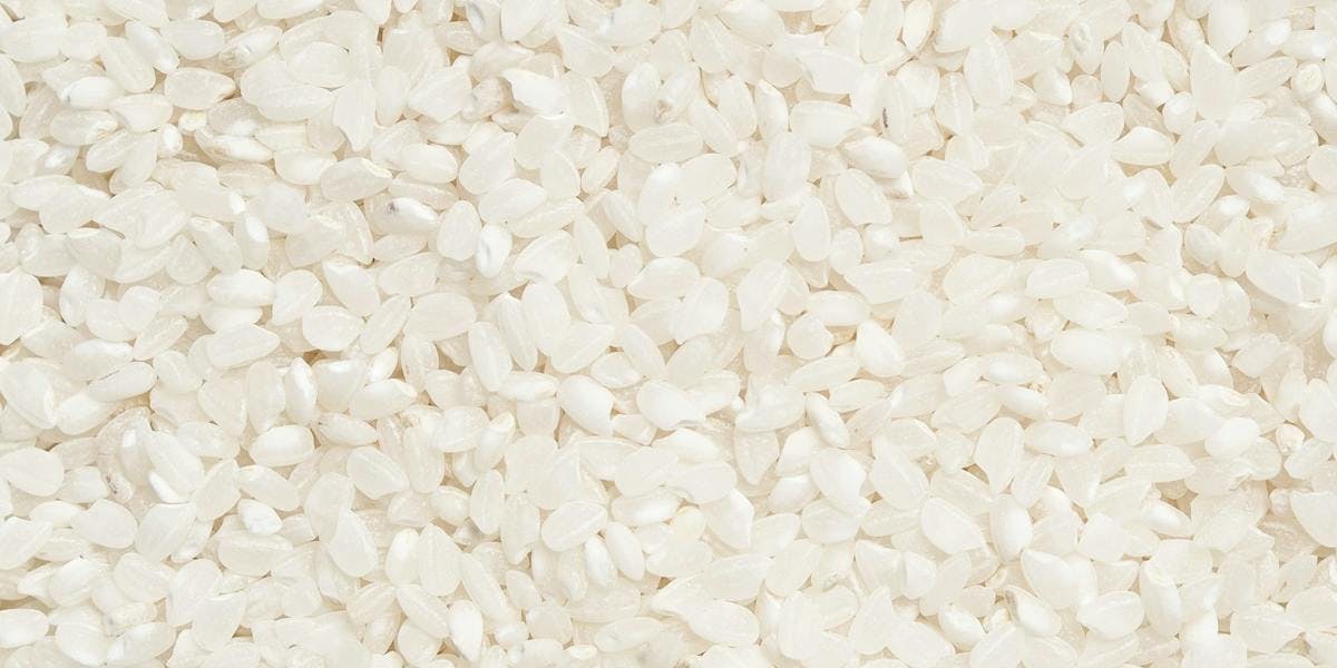 a macro shot of rice