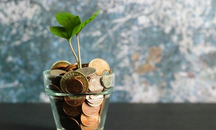 A water glass filled with coins and a plant growing out of it