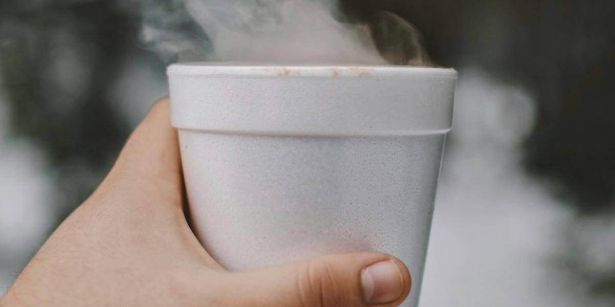 person holding polystyrene cup