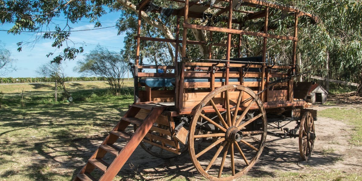 a wagon