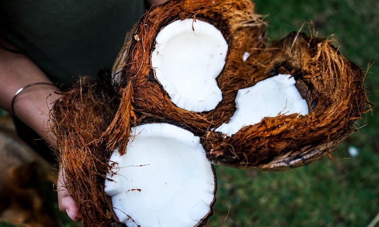 HOW TO CRACK OPEN A COCONUT image