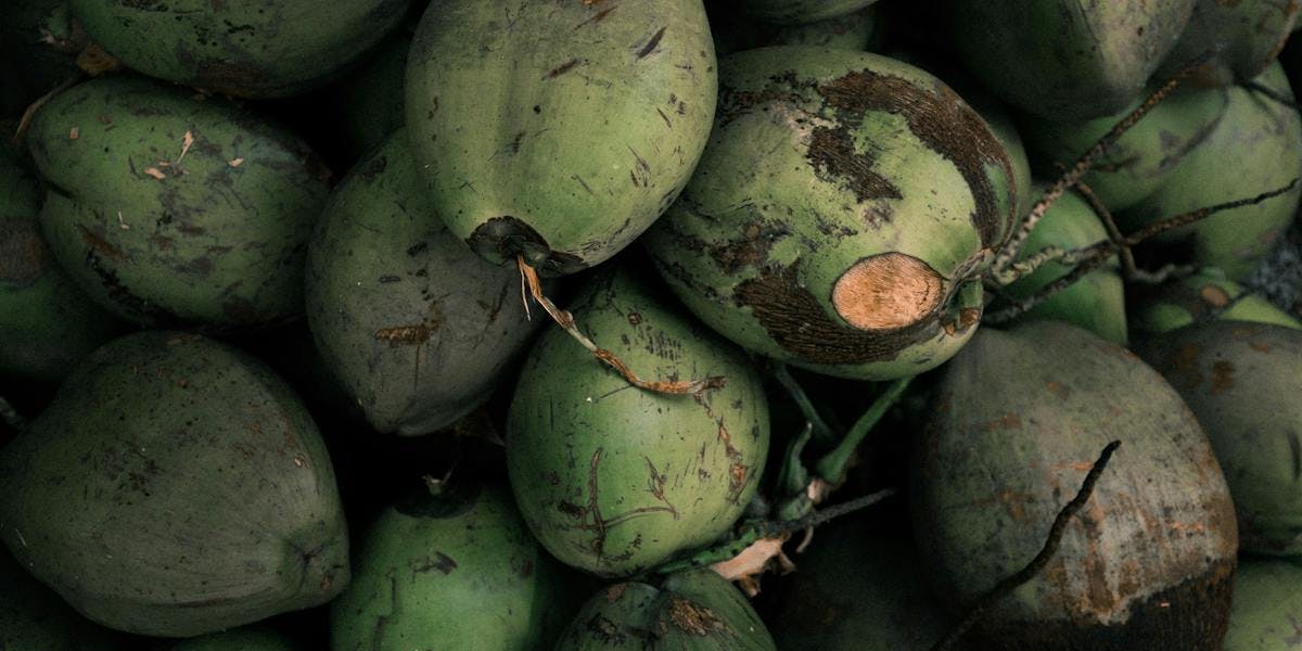 Pile of green coconuts