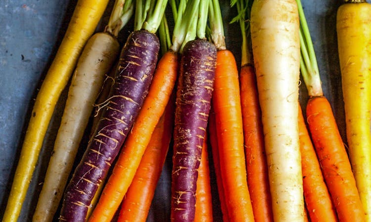 Purple, orange and yellow carrots