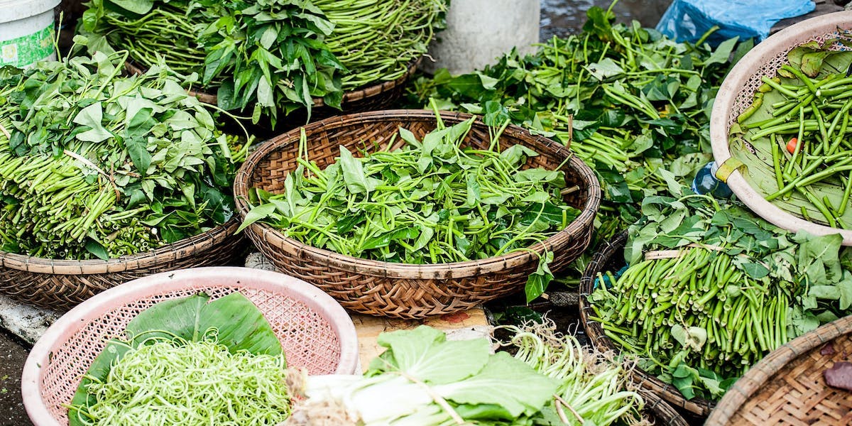 fresh herbs in baskets