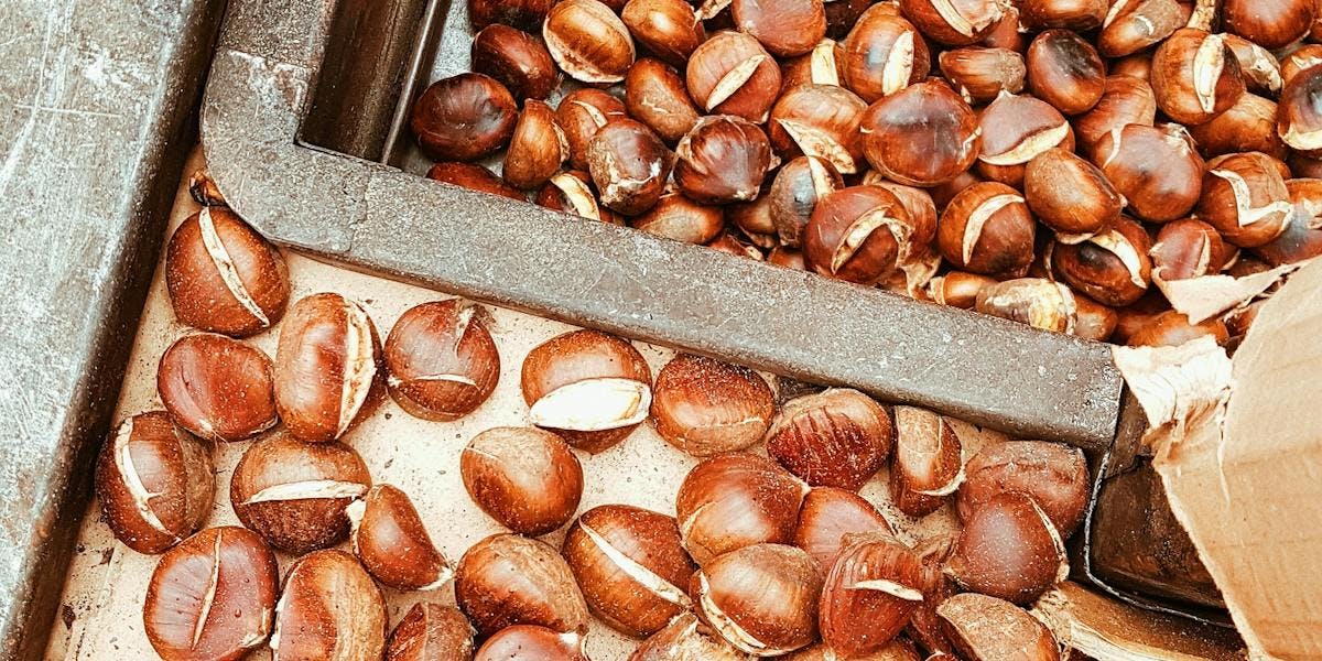 roasting chestnuts 