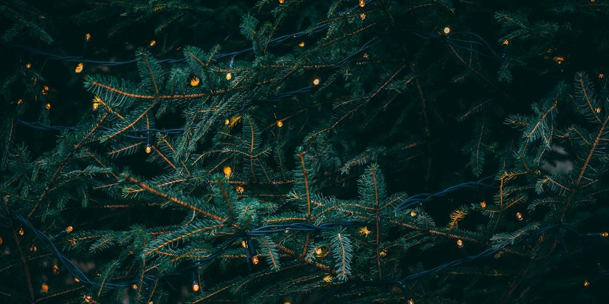 close up image of a Christmas tree with lights on 