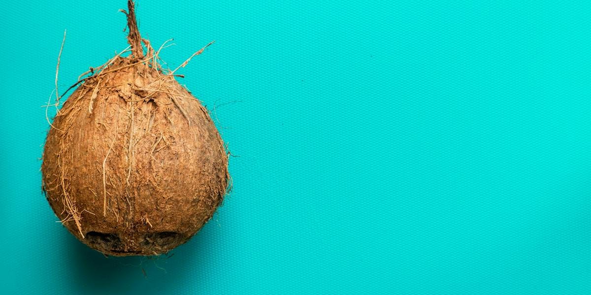 coconut on a blue background