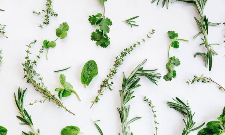 herbs against white background