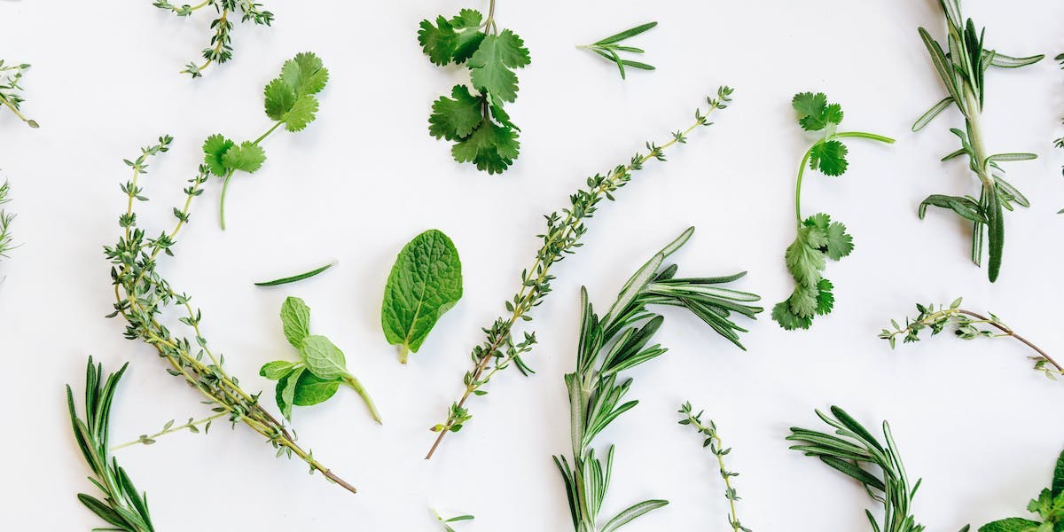 herbs against white background