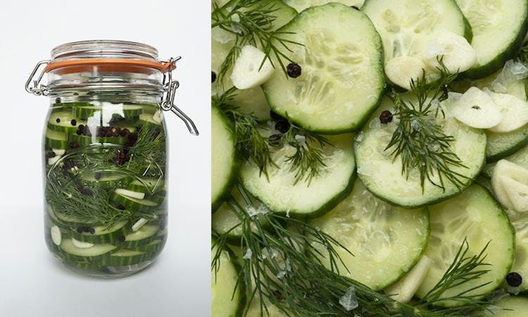 Dill Pickles 101 image