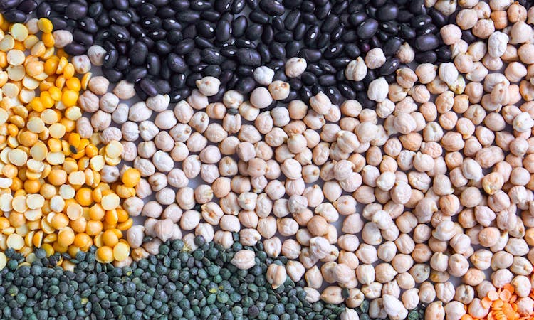 Plant-based Protein: The Ultimate Guide image