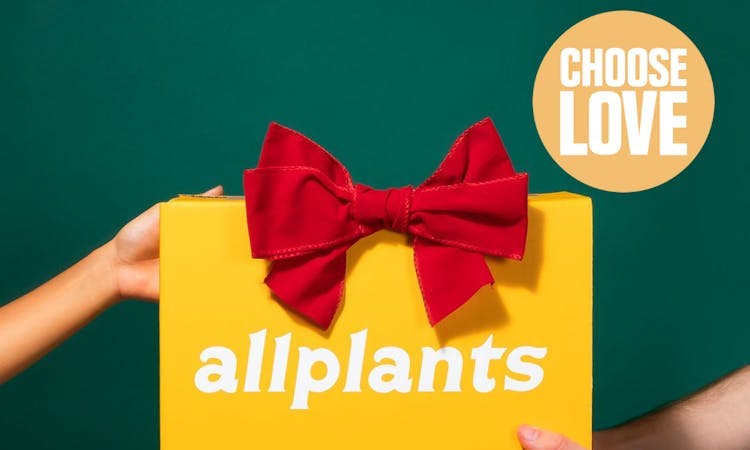 The Gift That Gives Back: Choose Love X allplants image