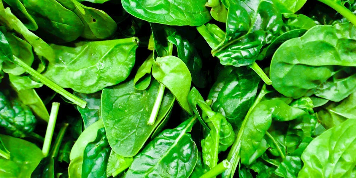 macro green spinach 