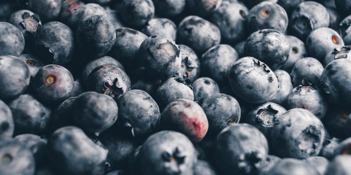 macro shot of blueberries