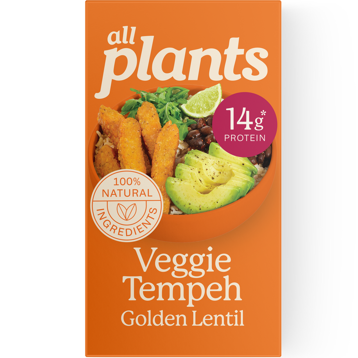 Golden Lentil Veggie Tempeh